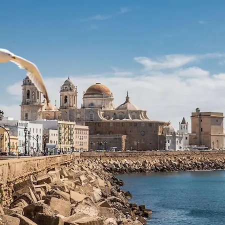 Travelers Dream By Livework Cadiz