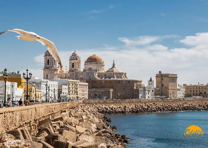 Travelers Dream By Livework Cadiz